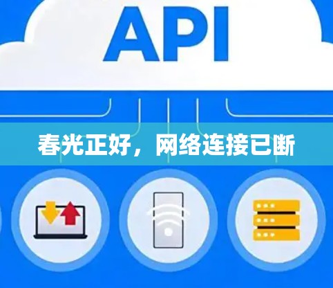 春光正好,网络连接已断 春光正好,网络连接已断