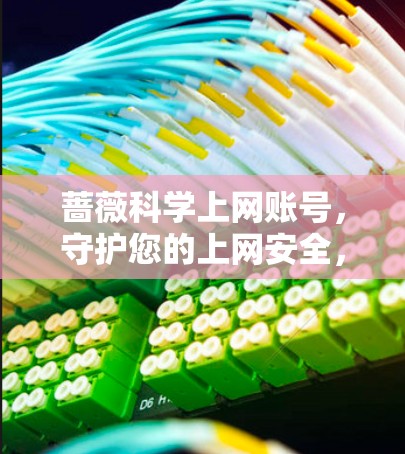 蔷薇科学上网账号，守护您的上网安全，构建高效便捷的上网新生态