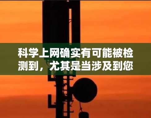科学上网确实有可能被检测到，尤其是当涉及到您使用的科学软件、实验数据或在线服务时。虽然你的隐私和数据可能会受到检测，但通常可以通过以下方式来保护自己