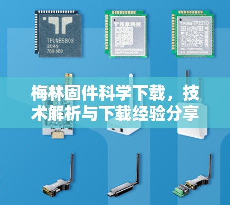 梅林固件科学下载，技术解析与下载经验分享