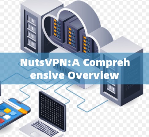 NutsVPN:A Comprehensive Overview