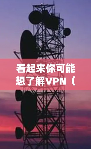 看起来你可能想了解VPN（Virtual Private Networks）和排名（Rankings）以下是一些相关信息