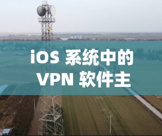 iOS 系统中的 VPN 软件主要用于加密数据、查看 IP 地址或进行其他VPN功能。以下是一些常见的iOS VPN 软件及其特点