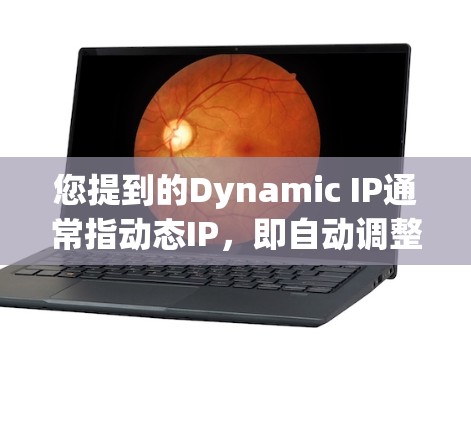 您提到的Dynamic IP通常指动态IP，即自动调整的IP地址。Dynamic IP通常用于VPN、互联网接入等场景，通过动态IP，可以让用户根据需要自动更换IP地址，减少手动配置的麻烦
