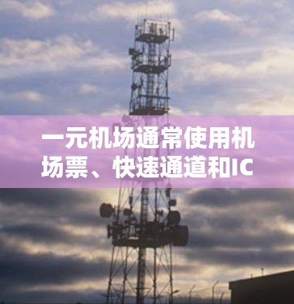 一元机场通常使用机场票、快速通道和IC卡支付功能，具体取决于机场的收费项目和服务模式。以下是一些常见的流量卡类型和可能的使用情况