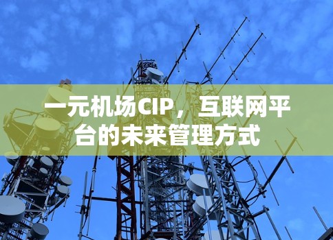 一元机场CIP，互联网平台的未来管理方式