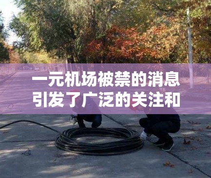 一元机场被禁的消息引发了广泛的关注和讨论。以下是对这一事件的分析和总结