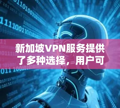 新加坡VPN服务提供了多种选择，用户可以根据自己的需求和预算选择最适合的方案。以下是关于新加坡VPN线路服务的详细信息
