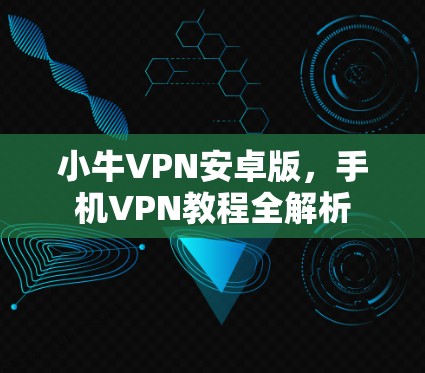 小牛VPN安卓版，手机VPN教程全解析