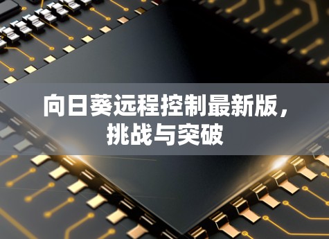 向日葵远程控制最新版，挑战与突破