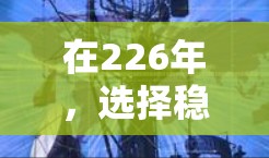 在226年，选择稳定的梯子是一个很好的生活选择。以下是一些经典的226年推荐的稳定梯子类型，涵盖了不同的功能和适用场景