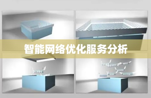智能网络优化服务分析