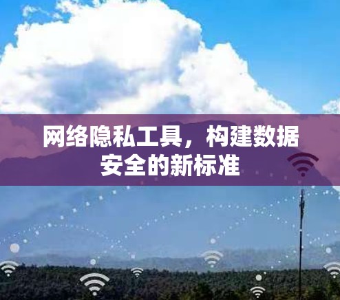 网络隐私工具，构建数据安全的新标准