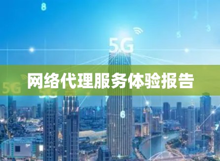 网络代理服务体验报告