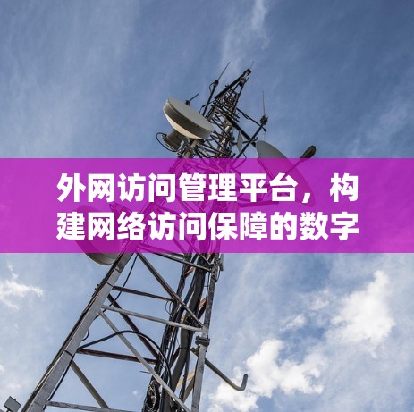 外网访问管理平台，构建网络访问保障的数字化保障系统