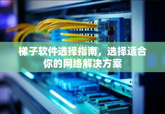 梯子软件选择指南，选择适合你的网络解决方案