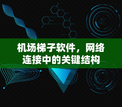 机场梯子软件，网络连接中的关键结构