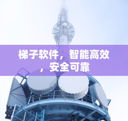 梯子软件，智能高效，安全可靠