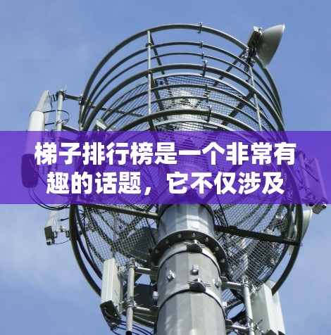 梯子排行榜是一个非常有趣的话题，它不仅涉及实用性和耐用性，还涉及到价格和适用场景。以下是一些详细的分类和推荐，帮助您在不同的情况下选择合适的梯子