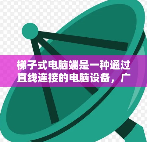 梯子式电脑端是一种通过直线连接的电脑设备，广泛应用于工业和建筑领域。以下是关于其使用的详细分析