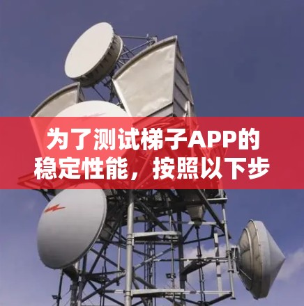 为了测试梯子APP的稳定性能，按照以下步骤进行