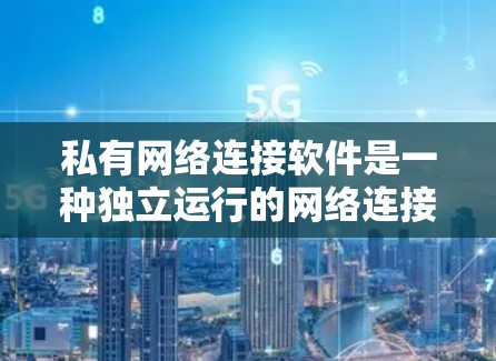 私有网络连接软件是一种独立运行的网络连接工具，使用的是私有协议，没有第三方软件或库的支持。这些软件直接由开发者提供，适合需要安全性和稳定性的场景。以下是对私有网络连接软件的详细介绍