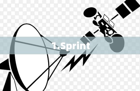 1.Sprint
