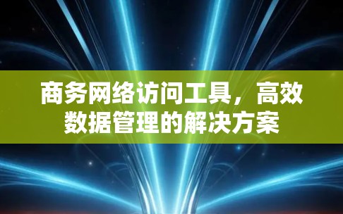 商务网络访问工具，高效数据管理的解决方案